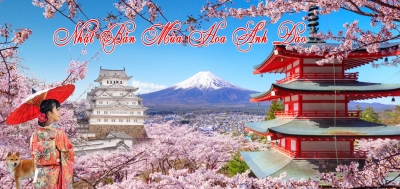 TOUR NHẬT BẢN-HÀN QUỐC MÙA HOA ANH ĐÀO NGÀY MARCH 30 - APRIL 9, 2023
